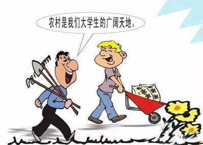 考公、考研難度高，應屆生你還有4種選擇